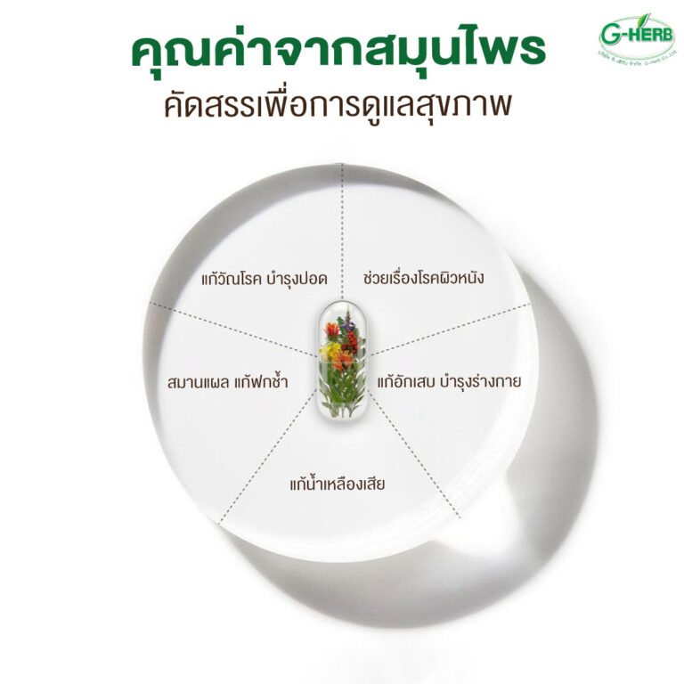 พฤษภาคม-69-14