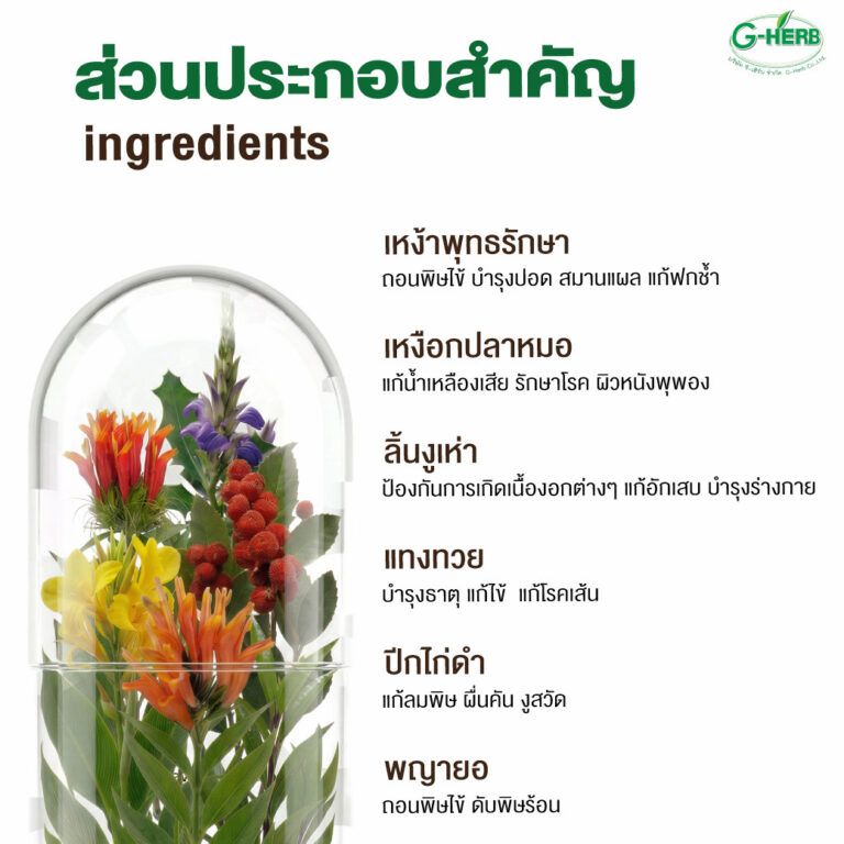 พฤษภาคม-69-8